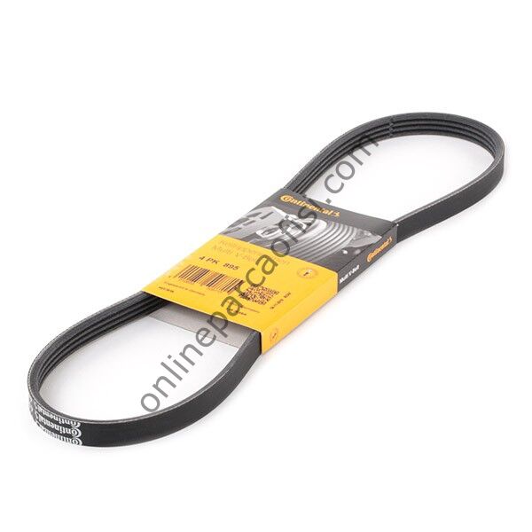 CONTITECH C 4PK 895 | JAPON CRV (RD) V KAYISI