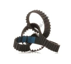 DAYCO 125RP260H | JAPON CRV (RD) TRIGER KAYISI