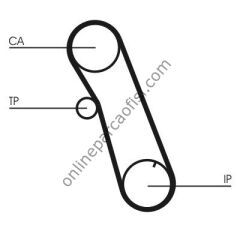 CONTITECH CT 616 | FORD ESCORT TRIGER KAYISI