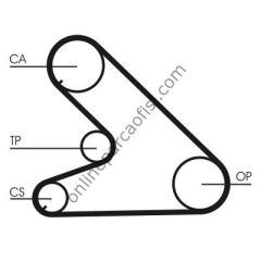 CONTITECH CT 700 | PSA J5/C25/DUCATO TRIGER KAYISI