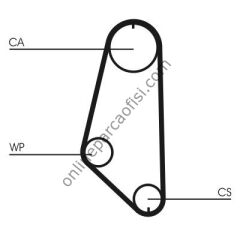 CONTITECH CT 720 | OPEL VECTRA A OMEGA TRIGER KAYISI