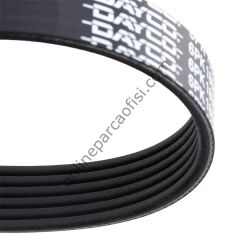 DAYCO 6PK1805 | OPEL FRONTERA B V KAYISI