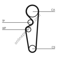 CONTITECH CT 729 | FORD ESCORT-CL TRIGER KAYISI