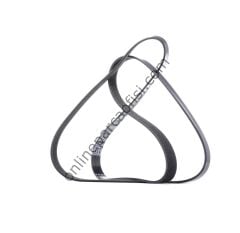 DAYCO 6PK1836S | FIAT MAREA/ALFA V KAYISI