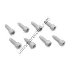 LUK 411 0147 10 | MERCEDES SCREWSET