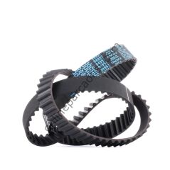 DAYCO 134RP254H2 | PSA 206/307 TRIGER KAYISI