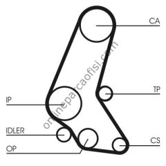 CONTITECH CT 748 | OPEL CORSA B/COMBO B TRIGER KAYISI