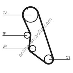 CONTITECH CT 754 | PSA XSARA TRIGER KAYISI