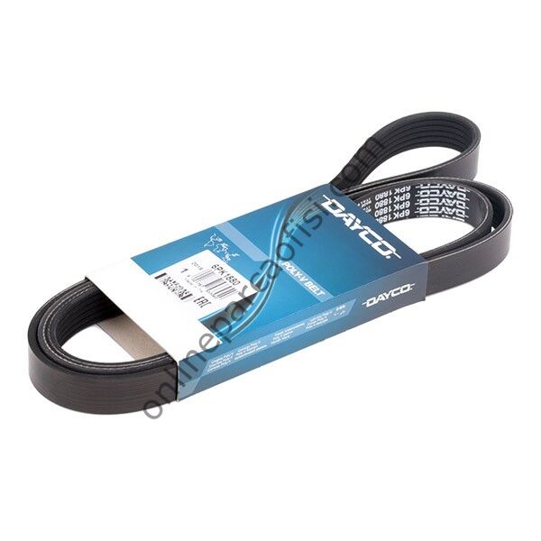 GATES 6PK1880 | OPEL VECTRA C V KAYISI