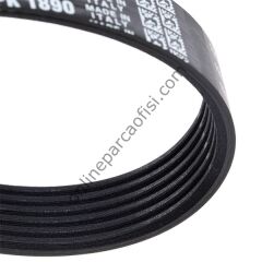 DAYCO 6PK1890 | FORD FOCUS V KAYISI