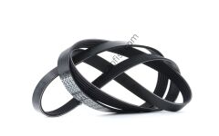 DAYCO 6PK1904 | FORD V KAYISI