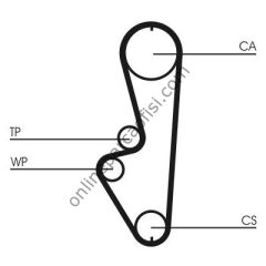 CONTITECH CT 765 | JAPON 626 (GD) TRIGER KAYISI