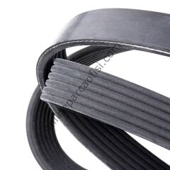 DAYCO 6PK1930 | FORD FIESTA V KAYISI