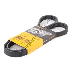 CONTITECH C 5PK 1219 | PSA 306 V KAYISI