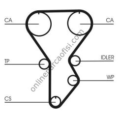 CONTITECH CT 790 | JAPON 626 (GD) TRIGER KAYISI