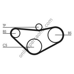 CONTITECH CT 800 | JAPON ACCORD (CB, CE, CG, CH) BALANS KAYISI