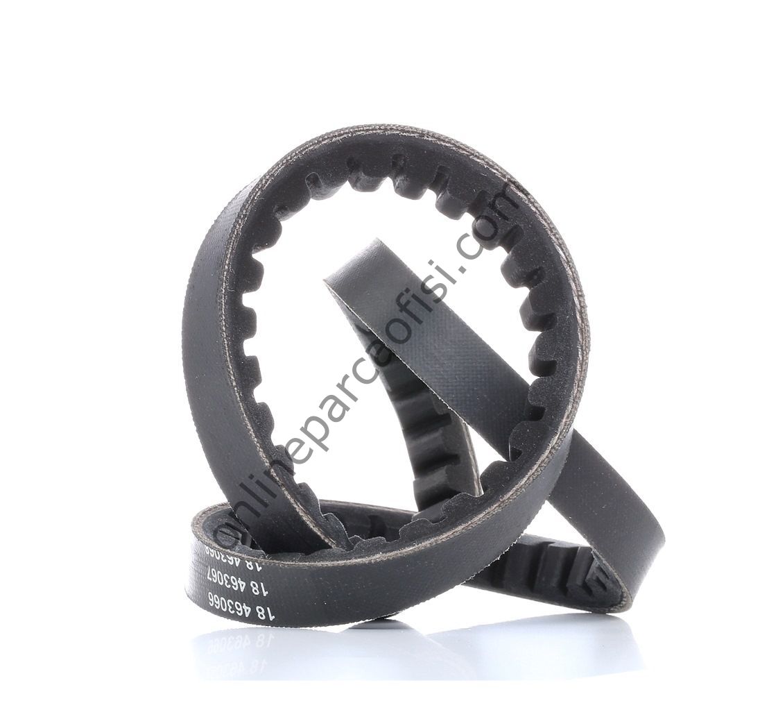 DAYCO 13A0675C | RENAULT V KAYISI