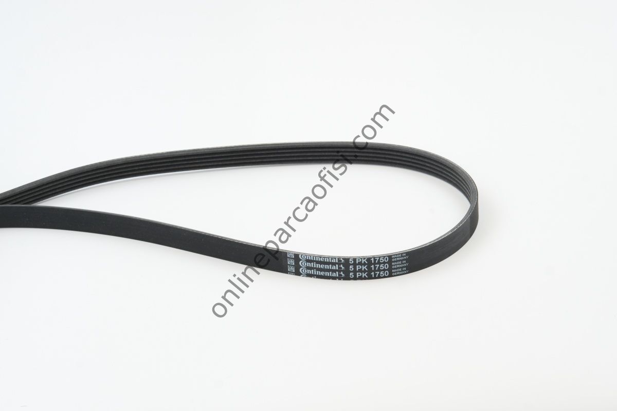 CONTITECH C 5PK 1750 | MERCEDES W168 V KAYISI