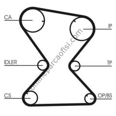 CONTITECH CT 842 | JAPON GALANT VIII TRIGER KAYISI
