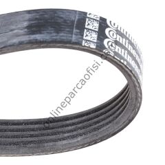 CONTITECH C 5PK 491 | VW GOLF5-JETTA-A3 V KAYISI