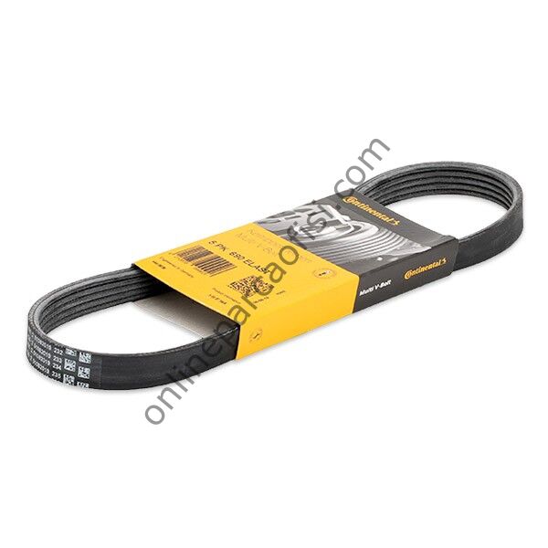 CONTITECH C 5PK 690ELAST | FORD FIESTA V KAYISI