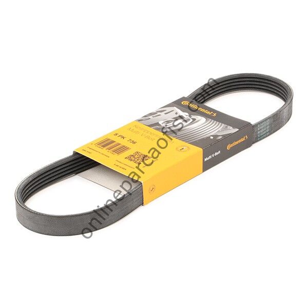 CONTITECH C 5PK 736 | RENAULT V KAYISI