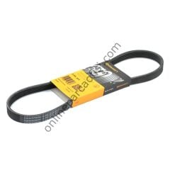 CONTITECH C 5PK 813 | RENAULT V KAYISI