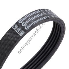 CONTITECH C 5PK 868ELAST | FORD FOCUS/C-MAX V KAYISI