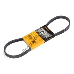 CONTITECH C 5PK 868ELAST | FORD FOCUS/C-MAX V KAYISI