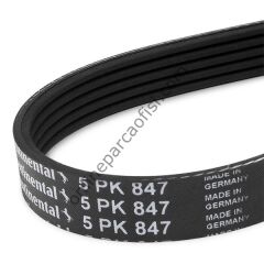 CONTITECH C 5PK 847 | FORD FOCUS V KAYISI