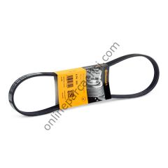 CONTITECH C 5PK 900 | JAPON ALTO (GF) V KAYISI