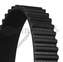 CONTITECH CT 869 | VW GOLF2 TRIGER KAYISI