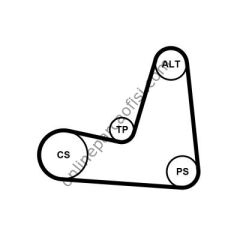CONTITECH C 5PK1135K1 | JAPON ALMERA / MICRA THALIA SCÉNIC MEGANE KANGOO CLIO V KAYIS SETI