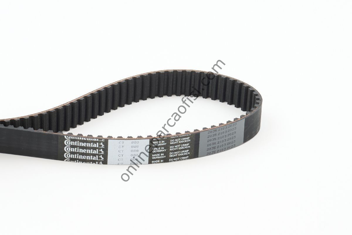 CONTITECH CT 880 | FIAT BRAVO TRIGER KAYISI