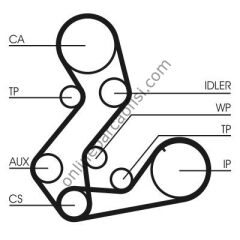 CONTITECH CT 901 | FORD ESCORT TRIGER KAYISI