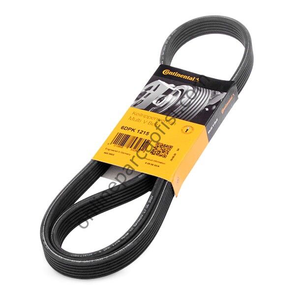 CONTITECH C 6DPK 1215 | VW T5 V KAYISI