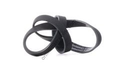 CONTITECH C 6PK 1000 | VW GOLF7-A3-LEON V KAYISI