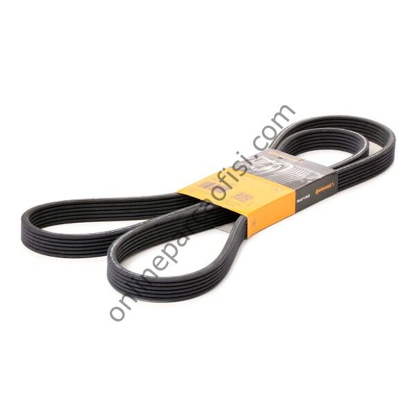 CONTITECH C 6DPK1853 | VW 911 CARRERA V KAYISI