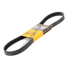 CONTITECH C 6PK 1019ELAST | FORD FIESTA/FUSION V KAYISI