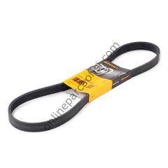 CONTITECH C 6PK 1029ELAST | FORD FOCUS/C-MAX/MONDEO/FIESTA V KAYISI