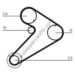 CONTITECH CT 921K2 | KORE H100/STAREX/BONGO/L200/L300 TRIGER SETI