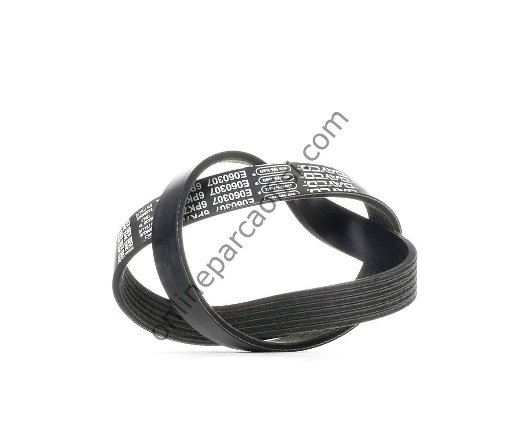 DAYCO 6PK780EE | PSA 307 V KAYISI