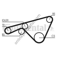 CONTITECH CT 925 | VW TRIGER KAYISI