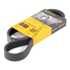 CONTITECH C 6PK 1059ELAST | FORD FOCUS /C-MAX/S40 V KAYISI