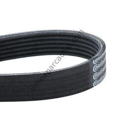 CONTITECH C 6PK 1045 | VW GOLF5-JETTA-CADDY V KAYISI