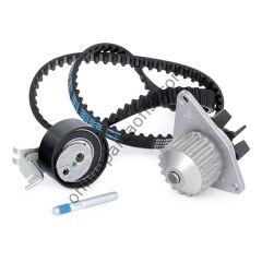 DAYCO KTBWP3361 | PSA FIORINO/106/206/306 TRIGER SETI