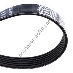 DAYCO 6PK850 | PSA C1/107 V KAYISI