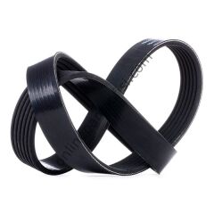 DAYCO 6PK850 | PSA C1/107 V KAYISI