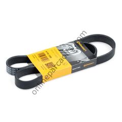 CONTITECH C 6PK 1090 | PSA 206/207/307/C4 V KAYISI