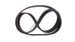 DAYCO 140RP+254H | FIAT SCUDO/PARTNER/BERLINGO TRIGER KAYISI